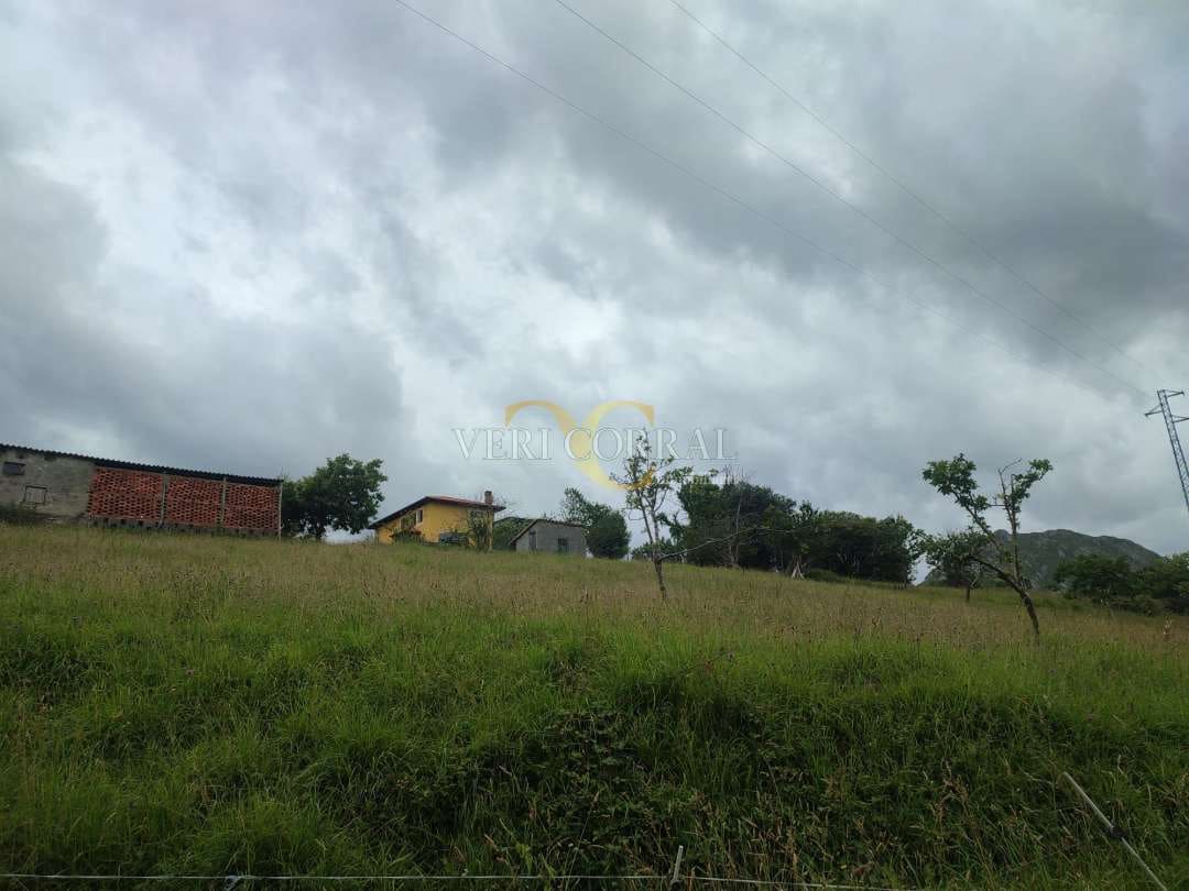 Terreno Não Urbanizado para venda em Ribadesella - 50 000 € (Ref: 9443500)