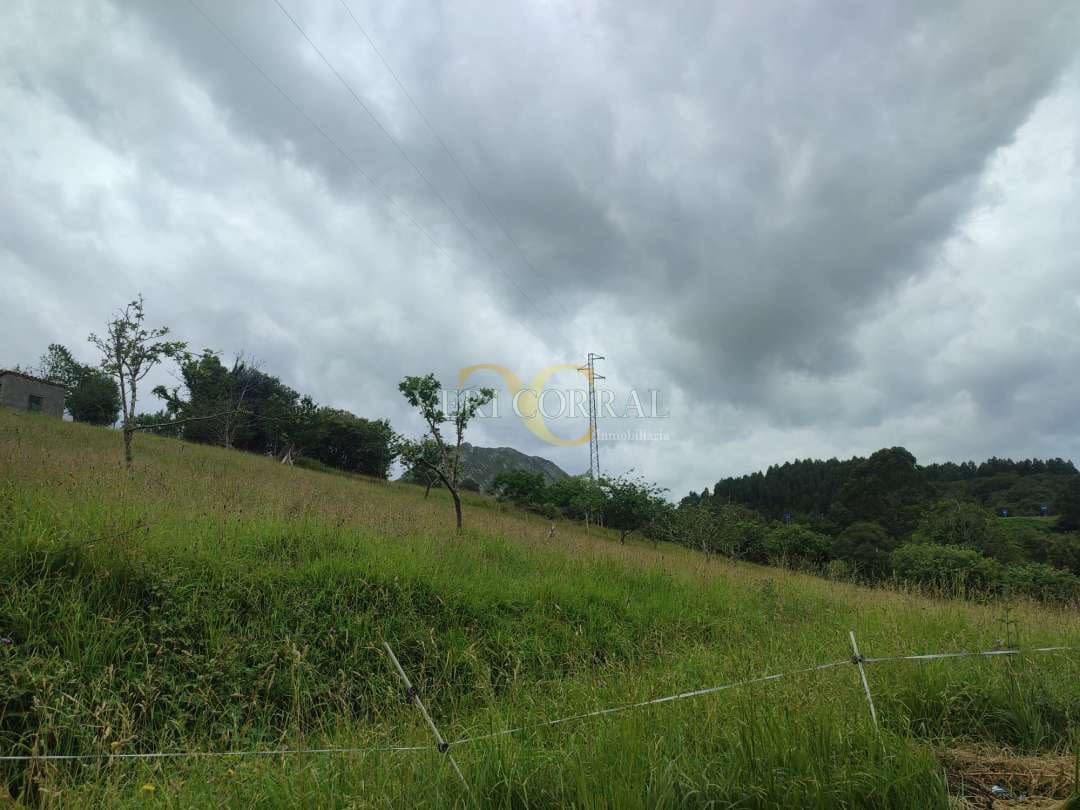 Terreno Não Urbanizado para venda em Ribadesella - 50 000 € (Ref: 9443500)