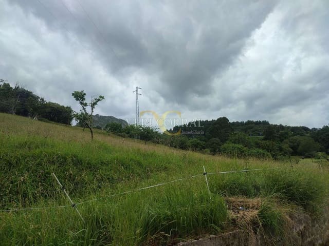 Terreno Não Urbanizado para venda em Ribadesella - 50 000 € (Ref: 9443500)
