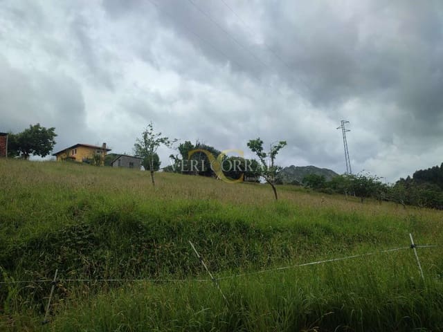 Terreno Não Urbanizado para venda em Ribadesella - 50 000 € (Ref: 9443500)