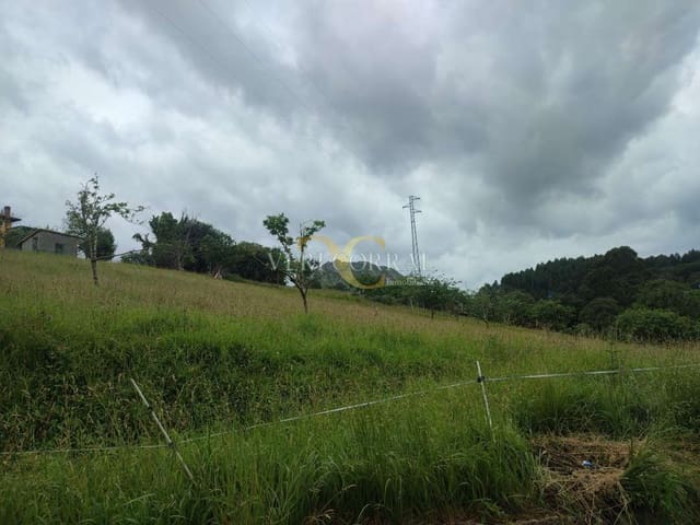 Terreno Não Urbanizado para venda em Ribadesella - 50 000 € (Ref: 9443500)