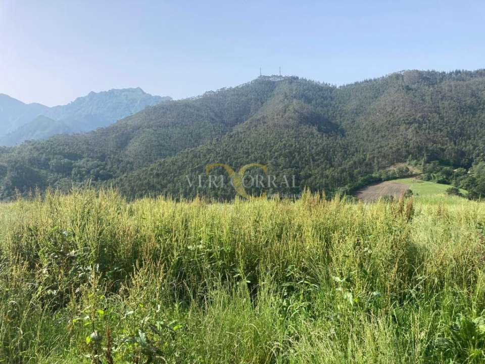 Terreno Não Urbanizado para venda em Ribadesella - 73 000 € (Ref: 9443502)