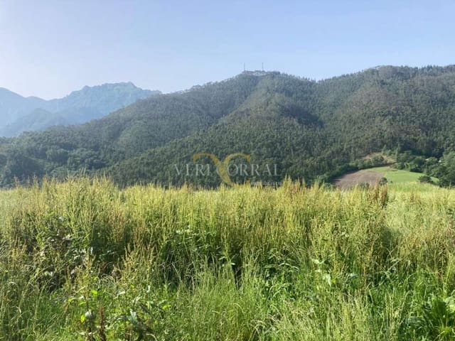 Terreno Não Urbanizado para venda em Ribadesella - 73 000 € (Ref: 9443502)