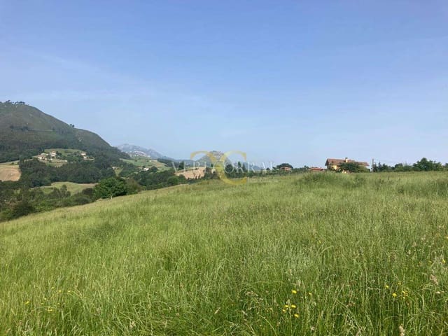 Terreno Não Urbanizado para venda em Ribadesella - 73 000 € (Ref: 9443502)