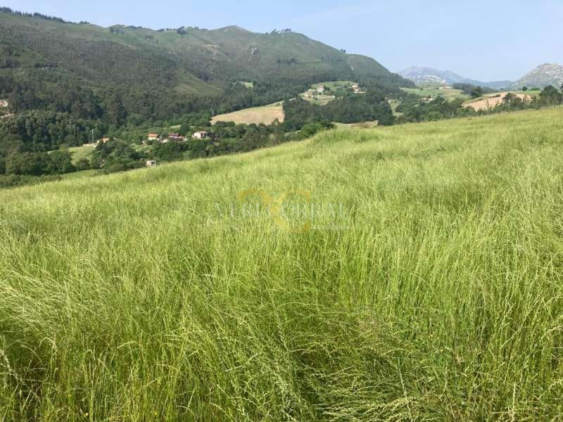 Terreno Não Urbanizado para venda em Ribadesella - 73 000 € (Ref: 9443502)