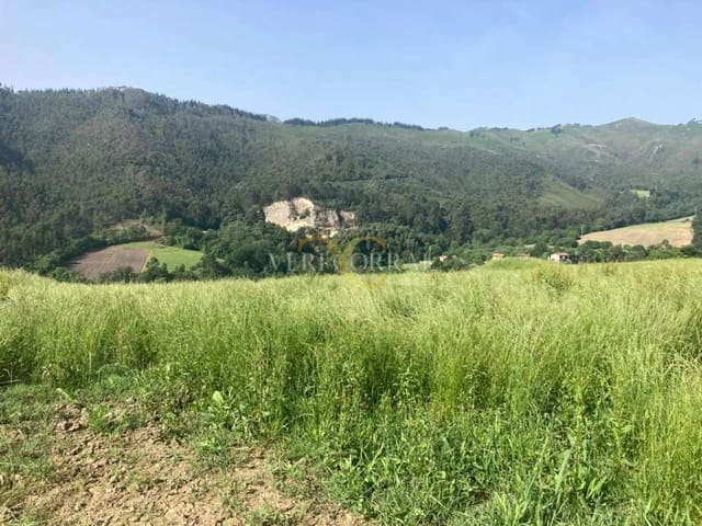 Terreno Não Urbanizado para venda em Ribadesella - 73 000 € (Ref: 9443502)