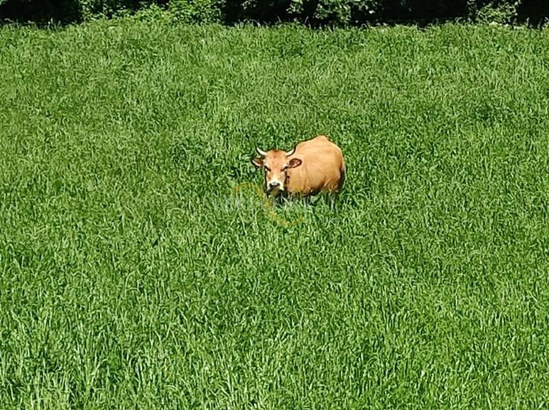 Rakentamaton maa myytävänä paikassa Parres - 43 000 € (Ref: 9443508)