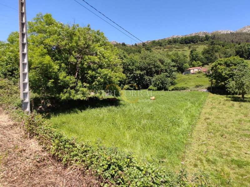 Rakentamaton maa myytävänä paikassa Parres - 43 000 € (Ref: 9443508)