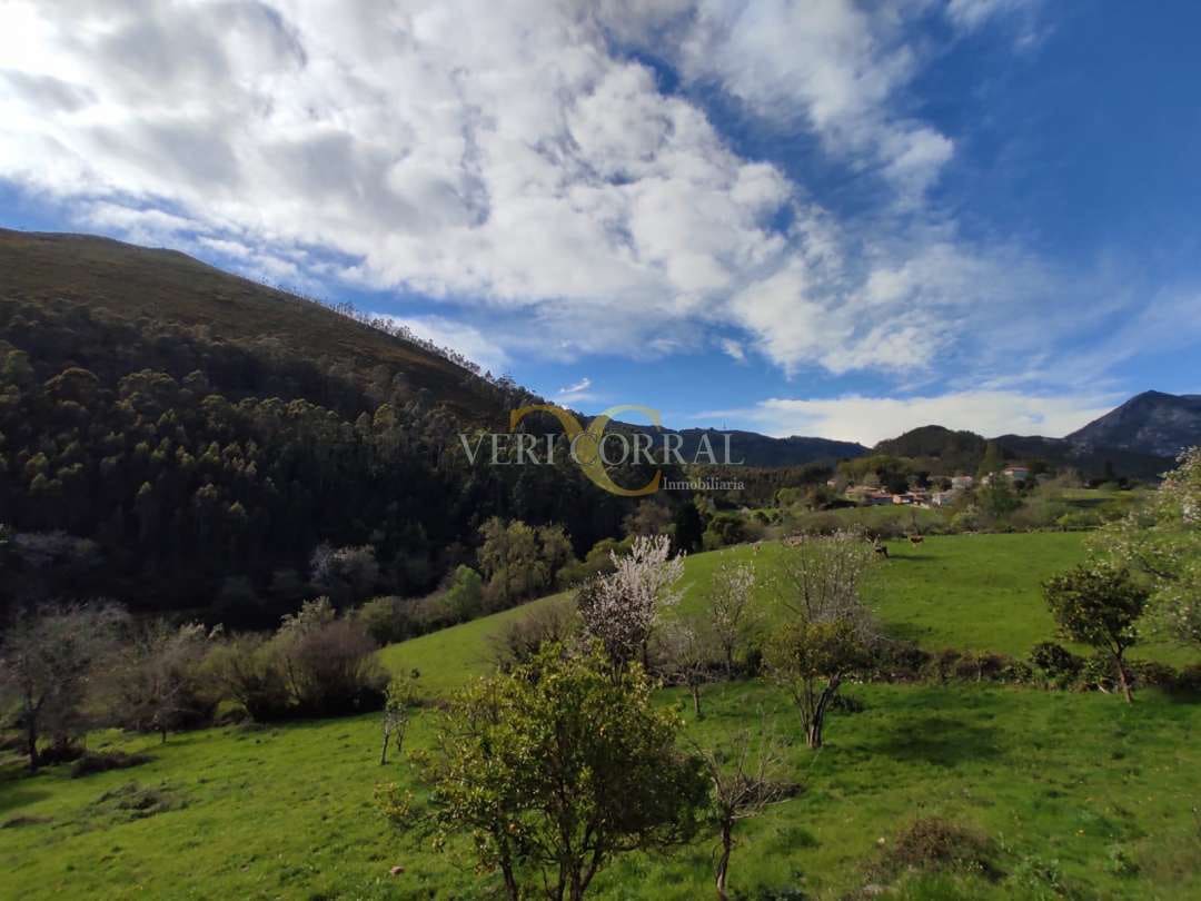 3 chambre Maison de Ville à vendre à Caravia - 180 000 € (Ref: 9443509)