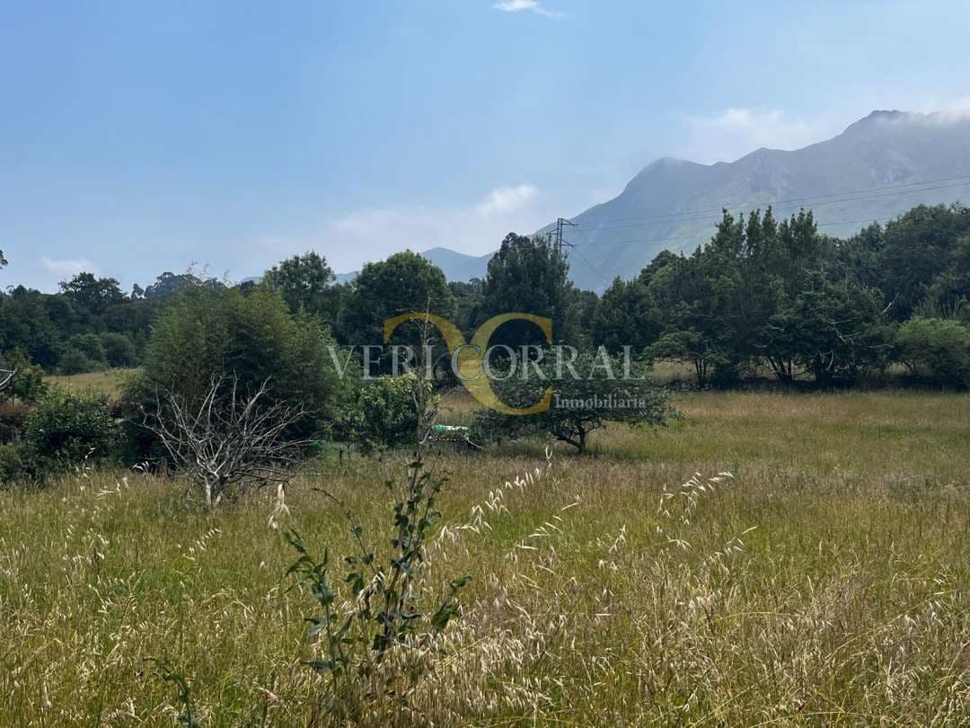 Terreno Não Urbanizado para venda em Ribadesella - 74 000 € (Ref: 9443511)