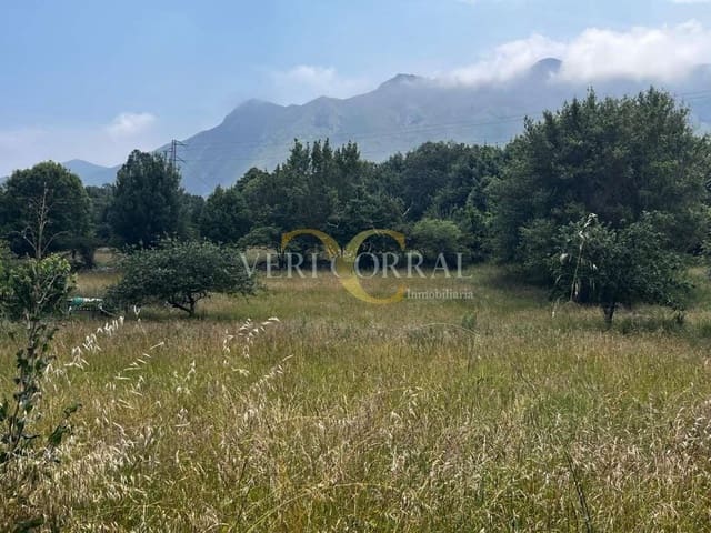 Terreno Não Urbanizado para venda em Ribadesella - 74 000 € (Ref: 9443511)