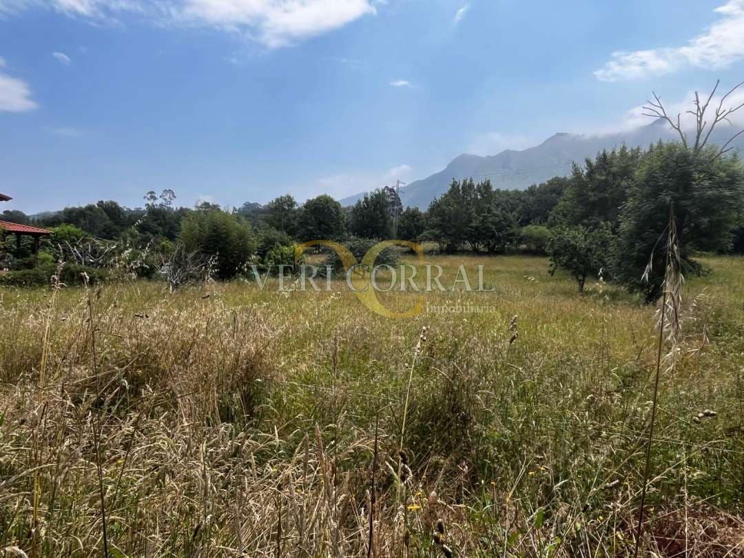 Terreno Não Urbanizado para venda em Ribadesella - 74 000 € (Ref: 9443511)