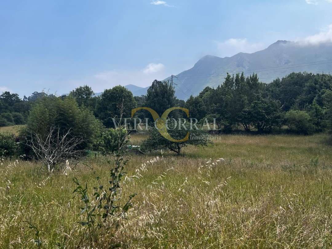 Terreno Não Urbanizado para venda em Ribadesella - 74 000 € (Ref: 9443511)