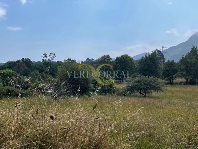 Terreno Não Urbanizado para venda em Ribadesella - 74 000 € (Ref: 9443511)