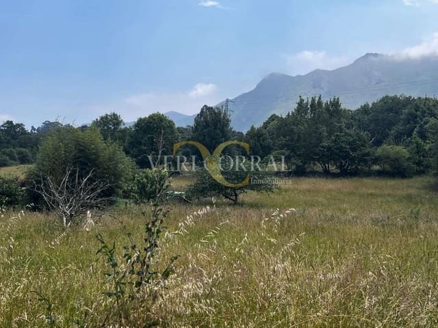 Terreno Não Urbanizado para venda em Ribadesella - 74 000 € (Ref: 9443511)