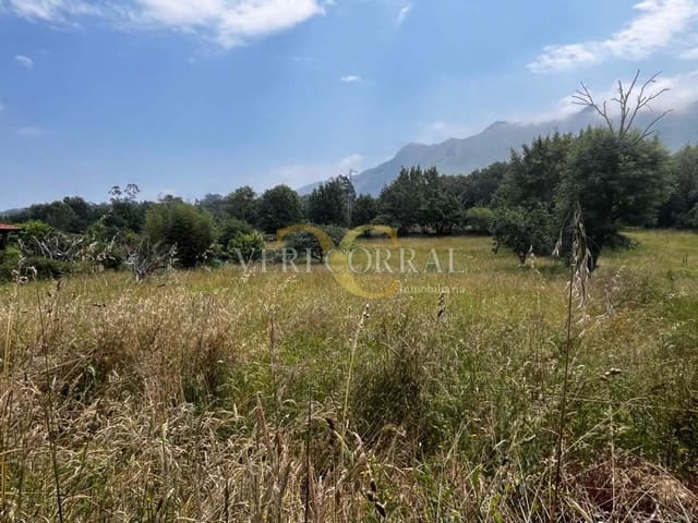 Terreno Não Urbanizado para venda em Ribadesella - 74 000 € (Ref: 9443511)