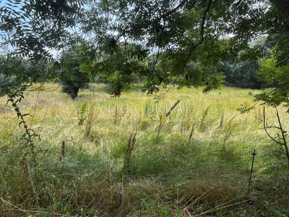 Terreno Não Urbanizado para venda em Ribadesella - 74 000 € (Ref: 9443511)