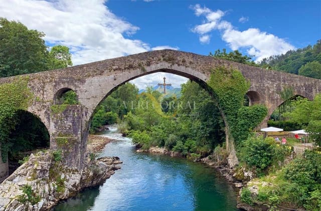 Rakentamaton maa myytävänä paikassa Cangas de Onís - 3 500 000 € (Ref: 9443514)