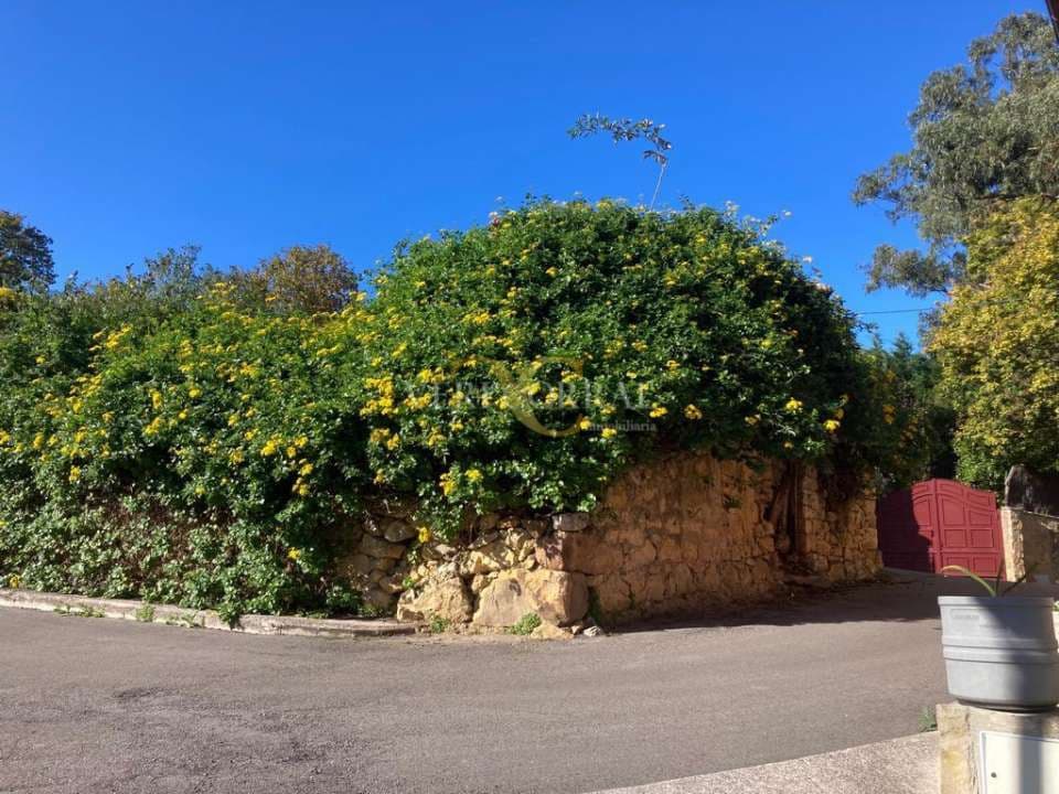 Terreno Não Urbanizado para venda em Caravia - 166 300 € (Ref: 9443517)