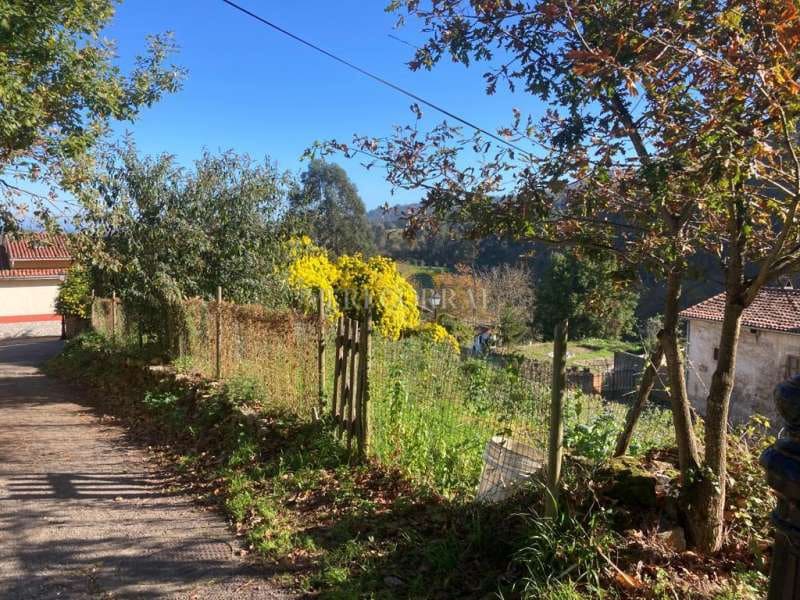 Terreno Não Urbanizado para venda em Caravia - 166 300 € (Ref: 9443517)