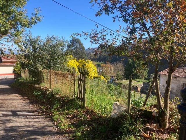 Terreno Não Urbanizado para venda em Caravia - 166 300 € (Ref: 9443517)