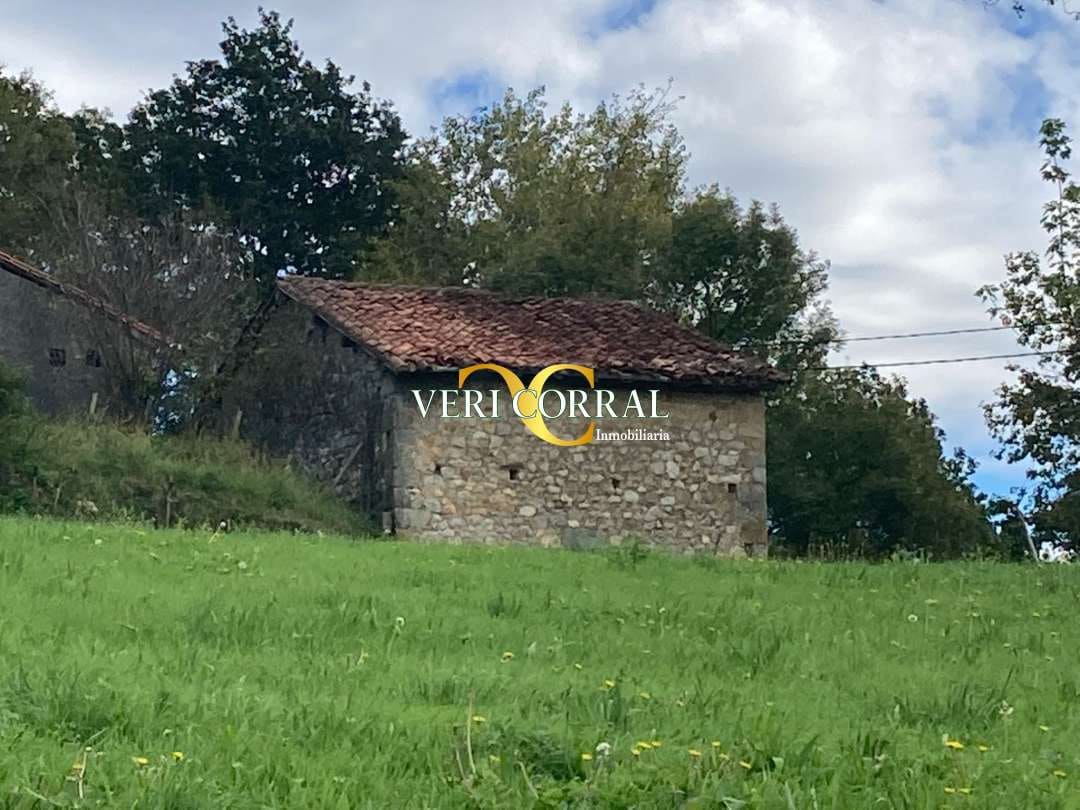 2 bedroom Townhouse for sale in Cangas de Onis - € 58,000 (Ref: 9443519)