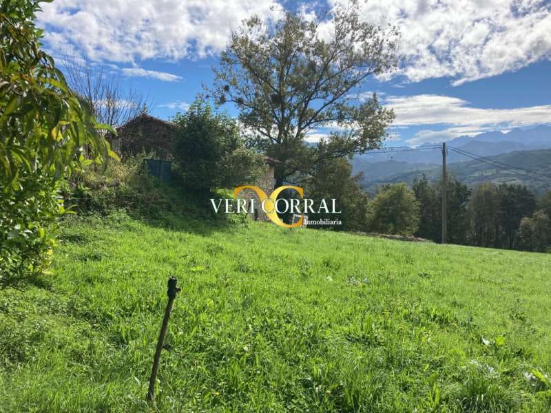 2 bedroom Townhouse for sale in Cangas de Onis - € 58,000 (Ref: 9443519)