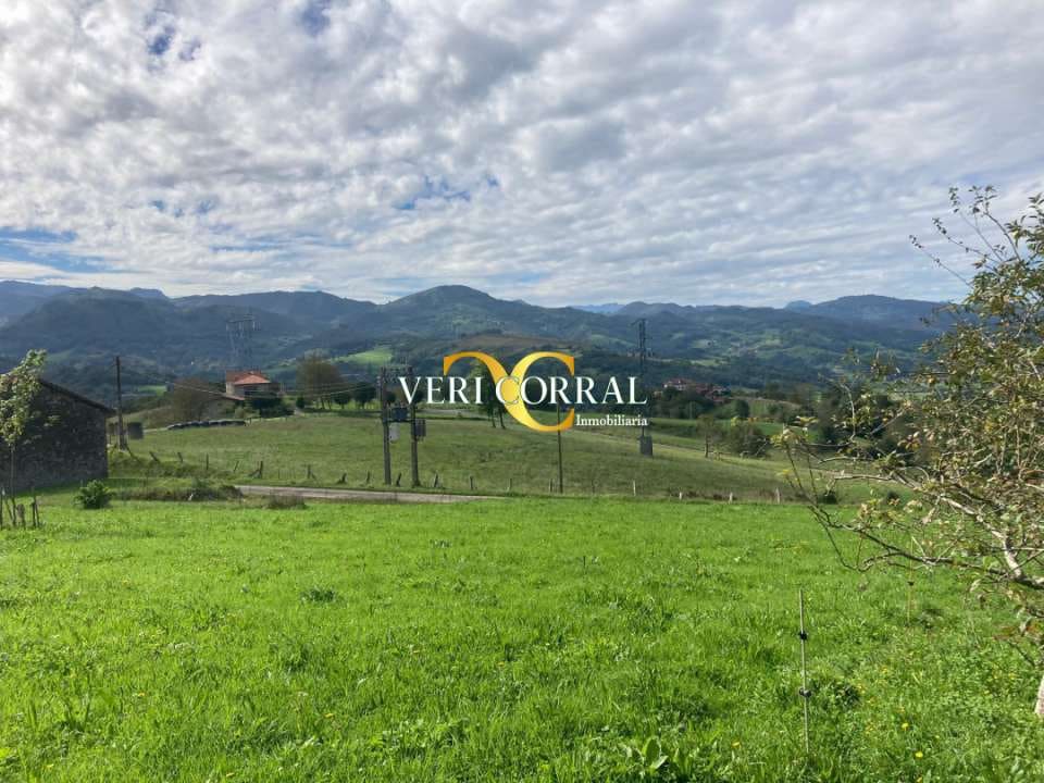 2 bedroom Townhouse for sale in Cangas de Onis - € 58,000 (Ref: 9443519)