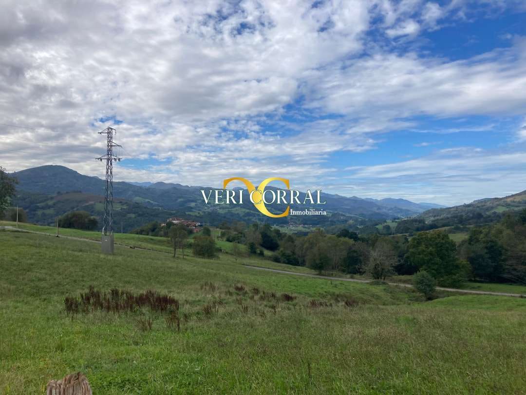 2 bedroom Townhouse for sale in Cangas de Onis - € 58,000 (Ref: 9443519)