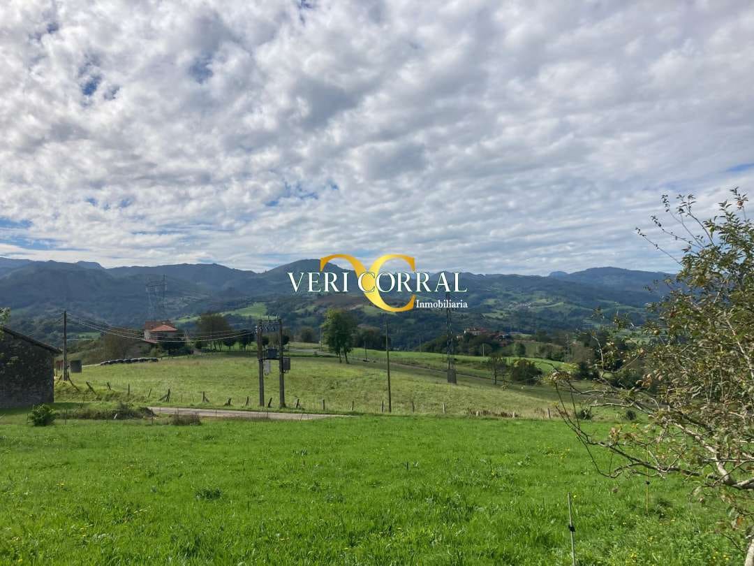 2 bedroom Townhouse for sale in Cangas de Onis - € 58,000 (Ref: 9443519)