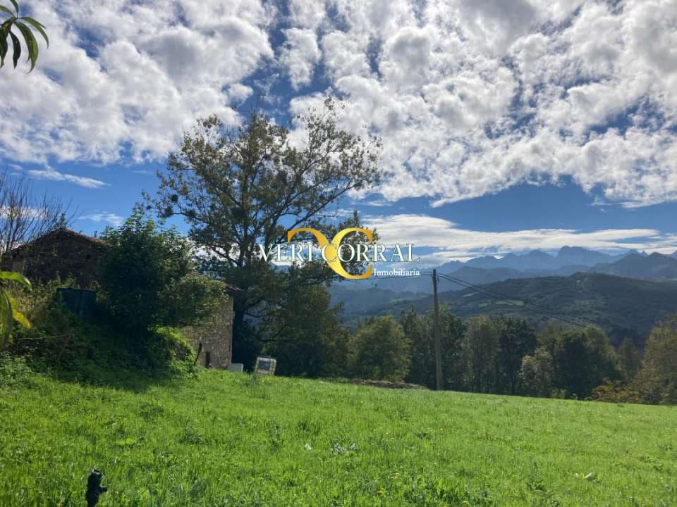 2 bedroom Townhouse for sale in Cangas de Onis - € 58,000 (Ref: 9443519)