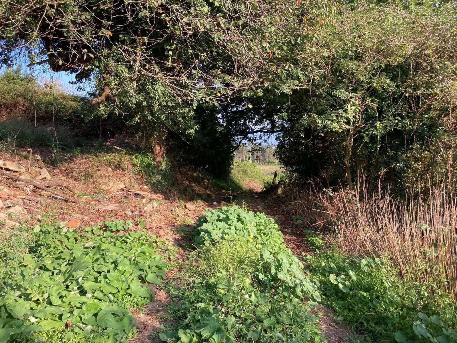 2 bedroom Townhouse for sale in Colunga - € 60,000 (Ref: 9443520)