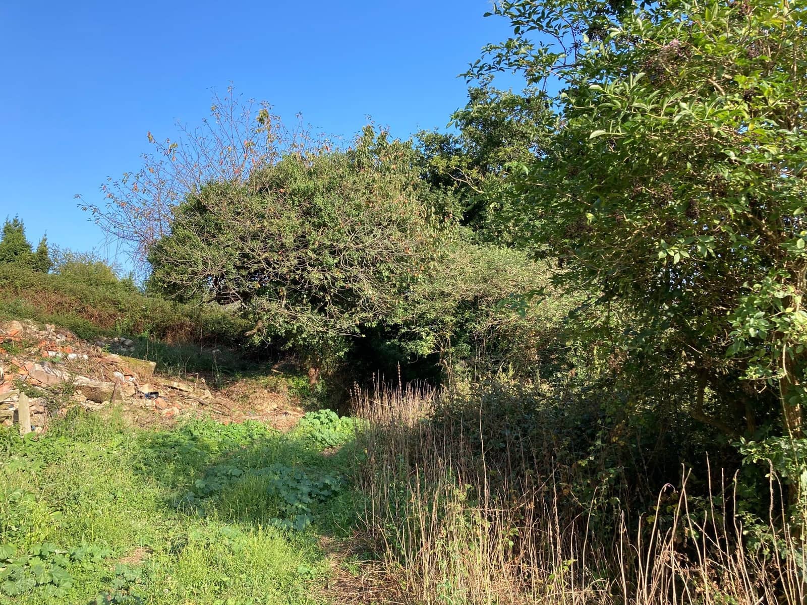 2 bedroom Townhouse for sale in Colunga - € 60,000 (Ref: 9443520)