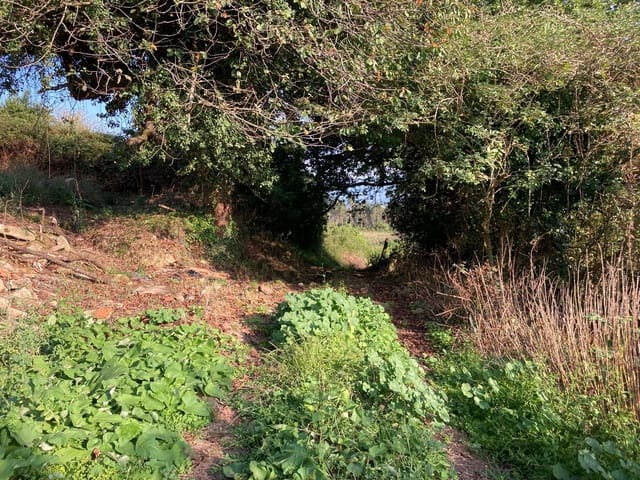 2 bedroom Townhouse for sale in Llastres, Colunga - € 60,000 (Ref: 9443520)