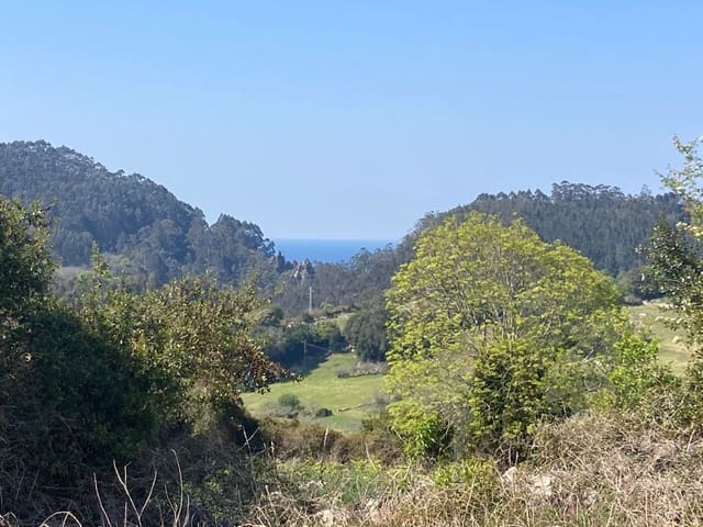 Terreno Não Urbanizado para venda em Ribadesella - 55 000 € (Ref: 9443523)