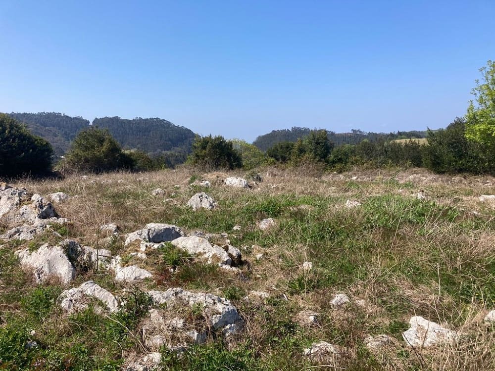 Terreno Não Urbanizado para venda em Ribadesella - 55 000 € (Ref: 9443523)