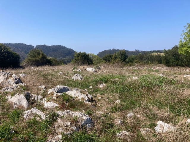 Terreno Não Urbanizado para venda em Ribadesella - 55 000 € (Ref: 9443523)