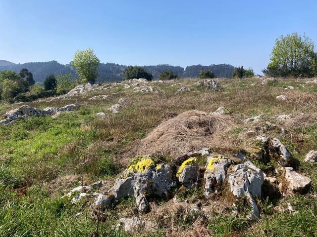 Terreno Não Urbanizado para venda em Ribadesella - 55 000 € (Ref: 9443523)