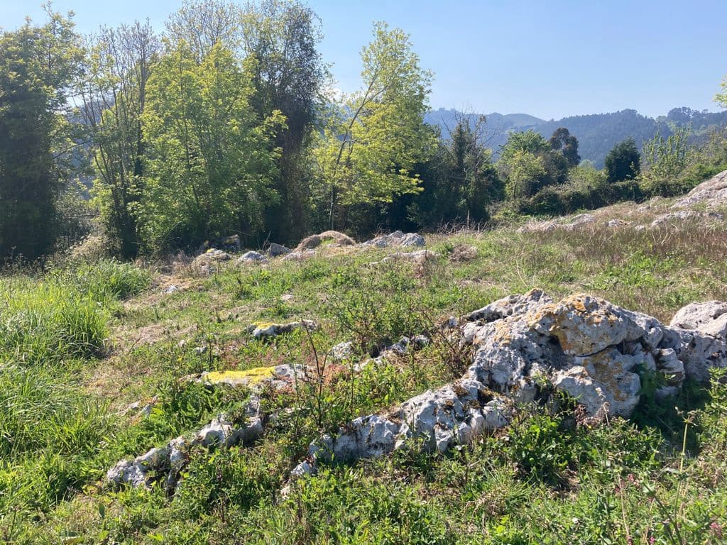 Terreno Não Urbanizado para venda em Ribadesella - 55 000 € (Ref: 9443523)