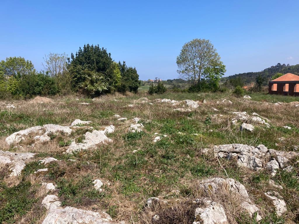 Terreno Não Urbanizado para venda em Ribadesella - 55 000 € (Ref: 9443523)
