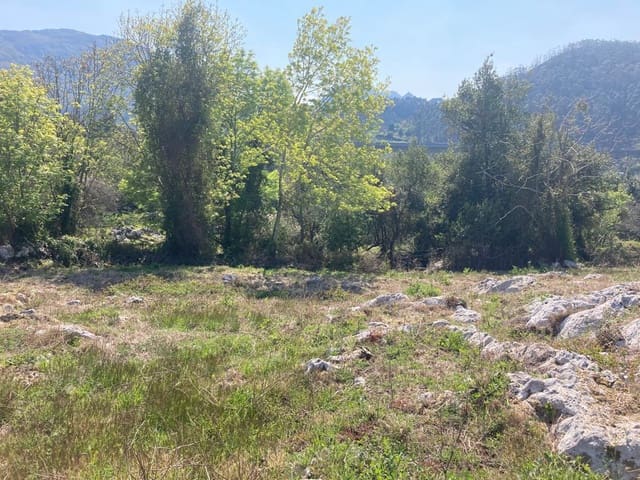 Terreno Não Urbanizado para venda em Ribadesella - 55 000 € (Ref: 9443523)