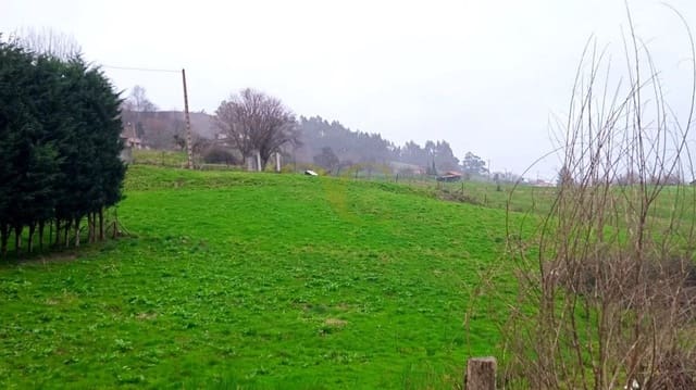 Undeveloped Land for sale in Llanes - € 54,000 (Ref: 9443525)