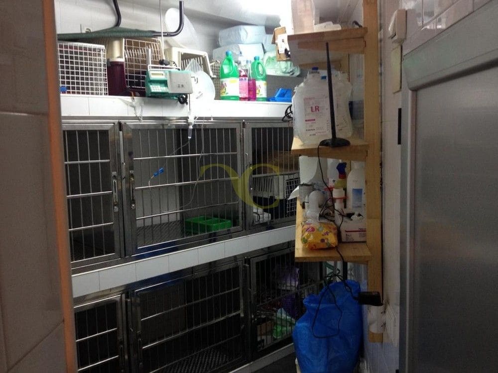 Gewerbe zu verkaufen in Ribadesella - 120.000 € (Ref: 9443526)