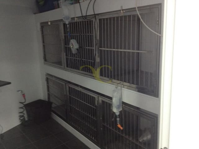 Gewerbe zu verkaufen in Ribadesella/Ribeseya, Ribadesella - 120.000 € (Ref: 9443526)