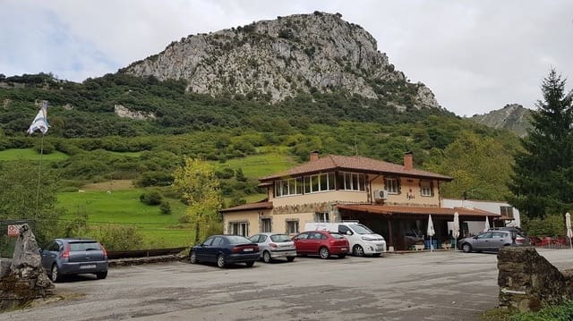 Ravintola/baari myytävänä paikassa Cabrales - 395 000 € (Ref: 9443533)