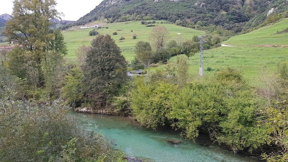 Restaurant/Bar for sale in Cabrales - € 395,000 (Ref: 9443533)