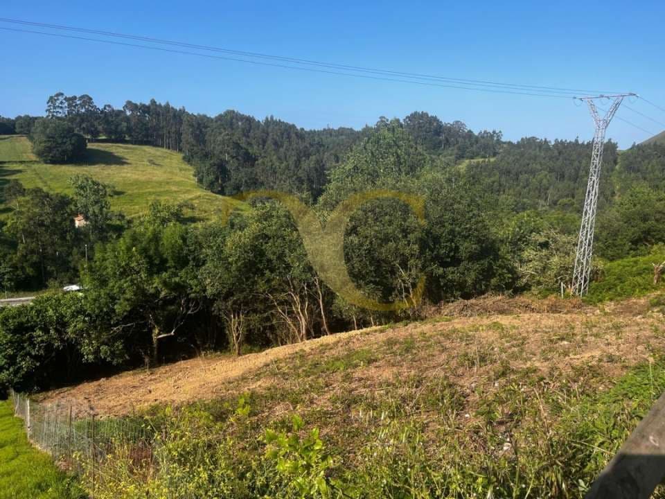 Undeveloped Land for sale in Ribadesella - € 60,000 (Ref: 9559335)