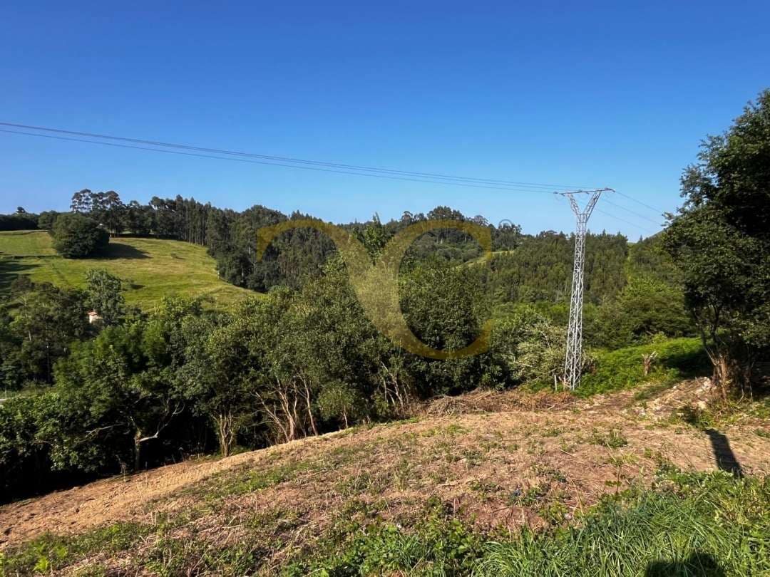 Undeveloped Land for sale in Ribadesella - € 60,000 (Ref: 9559335)