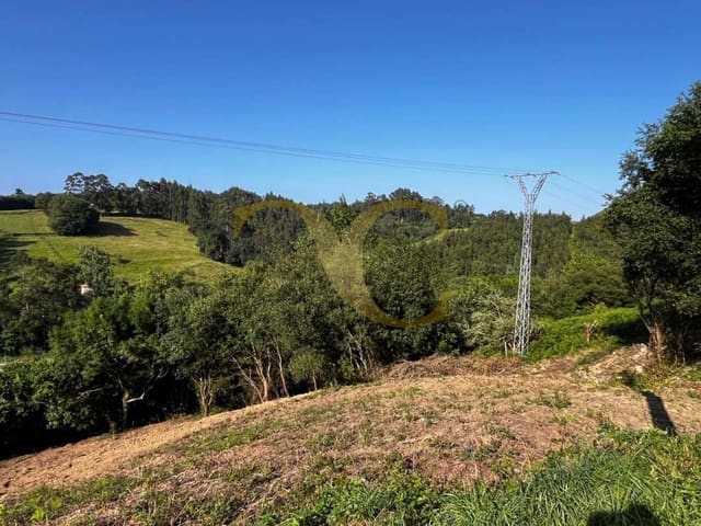 Terre non Aménagée à vendre à Ribadesella - 60 000 € (Ref: 9559335)