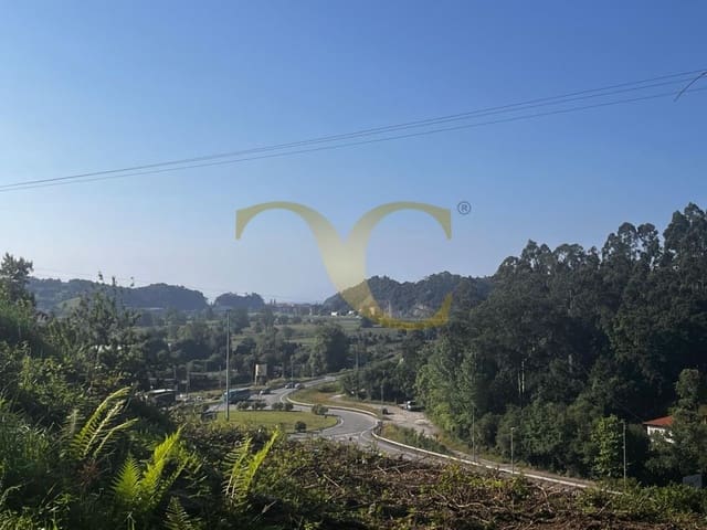 Terre non Aménagée à vendre à Ribadesella - 60 000 € (Ref: 9559335)